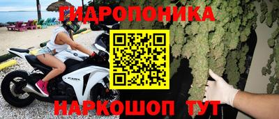 PSILOCYBIN Обнинск