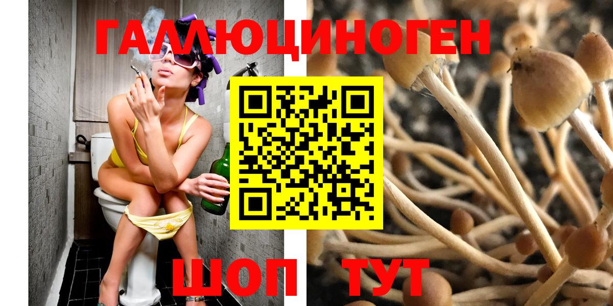 Псилоцибиновые грибы Cubensis Сердобск